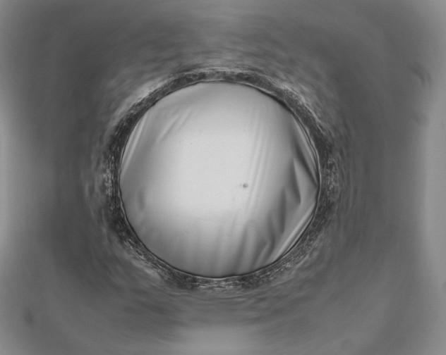 X0000112491159200908311426