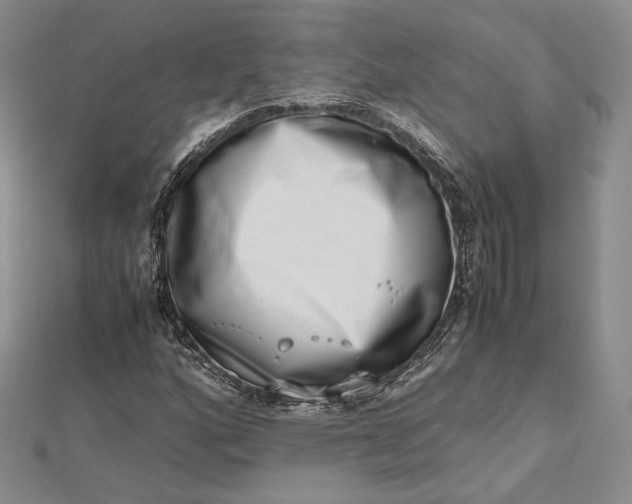 X0000112491160200908311426