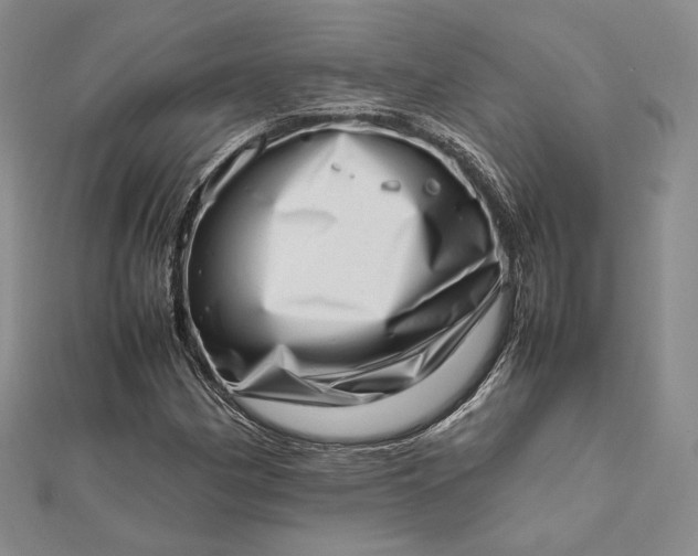 X0000112491162200908311426