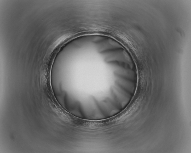 X0000112491163200908311426