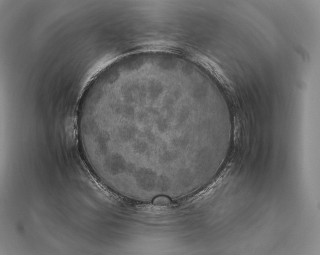 X0000112491164200908311426