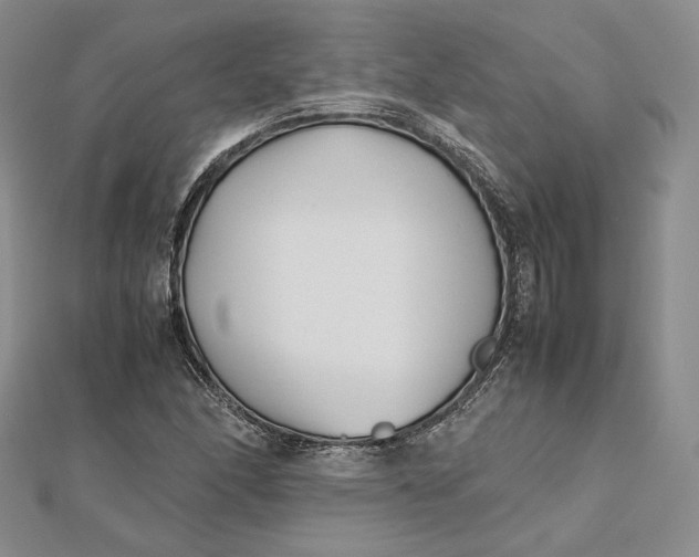 X0000112491166200908311426