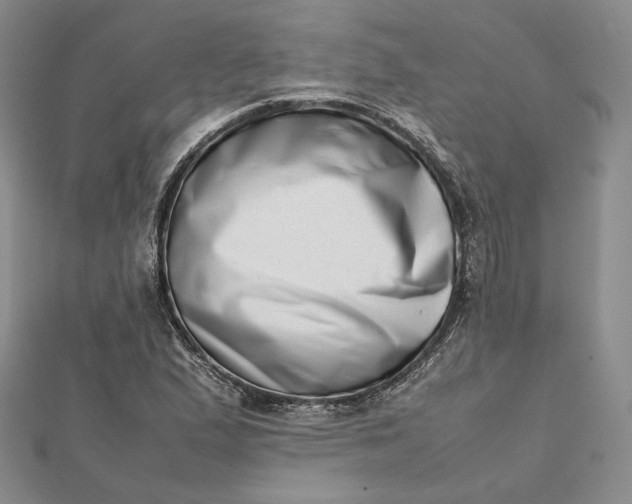 X0000112491167200908311426