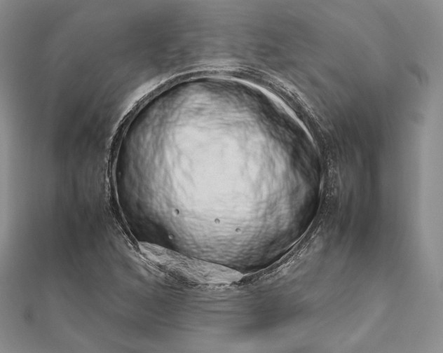 X0000112491168200908311426