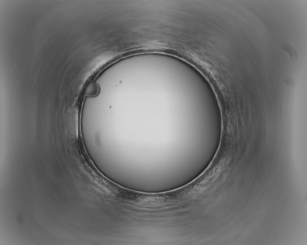 X0000112491171200908311426