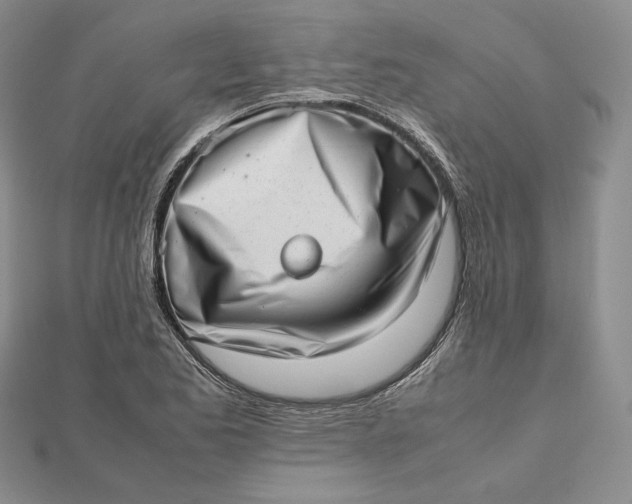 X0000112491173200908311426