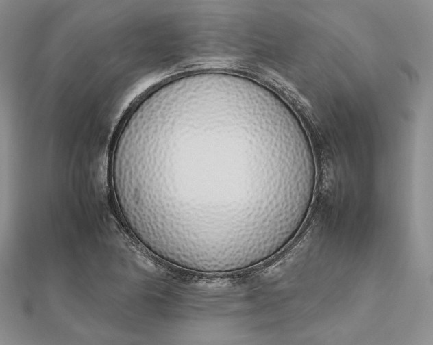 X0000112491174200908311426