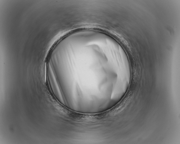 X0000112491175200908311425