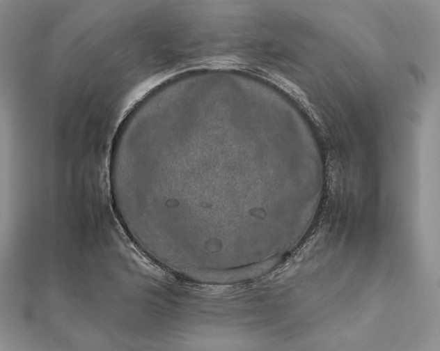 X0000112491176200908311425