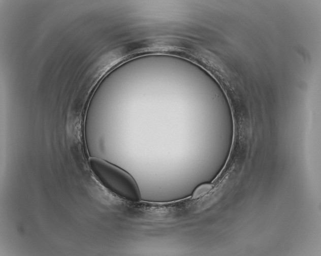 X0000112491177200908311425