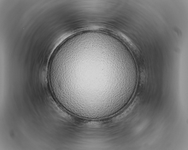 X0000112491178200908311425