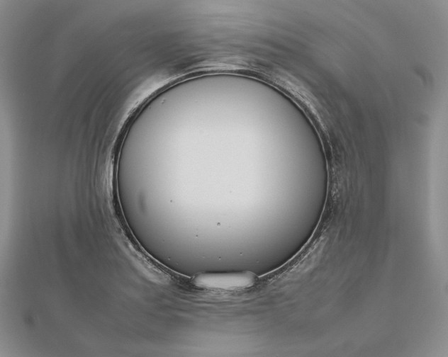 X0000112491179200908311425