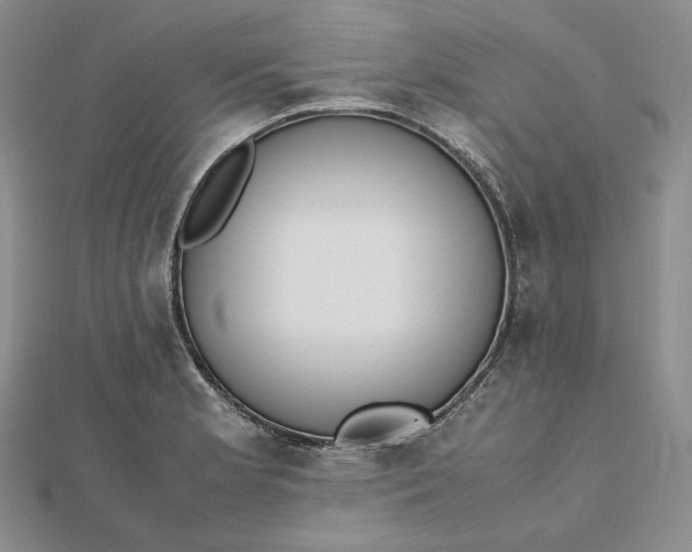 X0000112491181200908311425