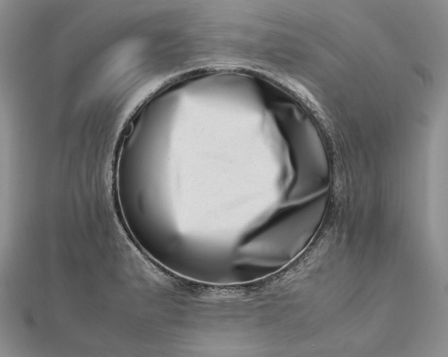 X0000112491183200908311425