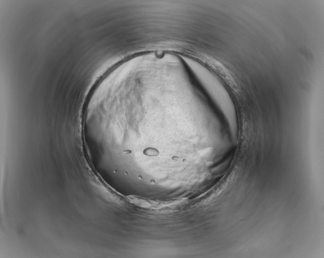 X0000112491184200908311425