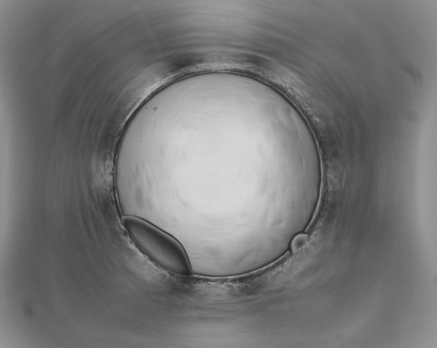 X0000112491185200908311425