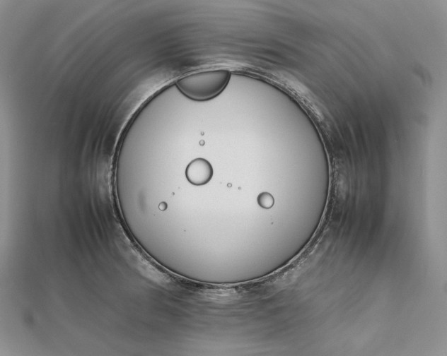 X0000112491186200908311425