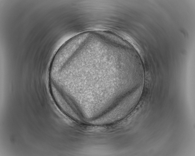 X0000112491187200908311425