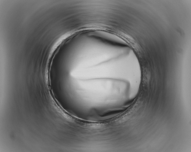 X0000112491188200908311425