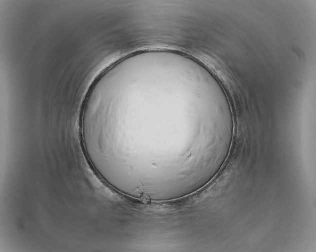 X0000112491189200908311425