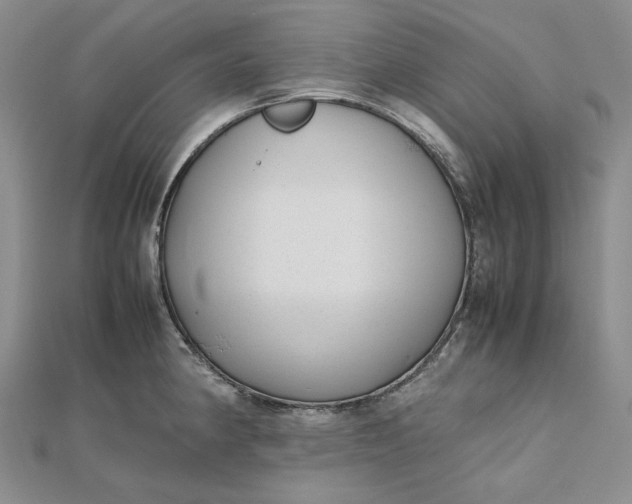 X0000112491190200908311425