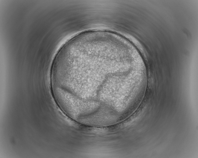 X0000112491191200908311425