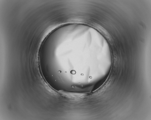 X0000112491192200908311425