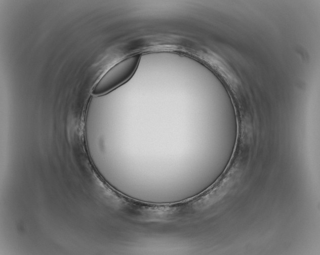 X0000112491193200908311425