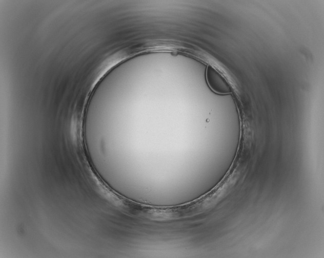 X0000112491194200908311425