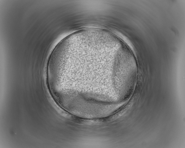 X0000112491195200908311425