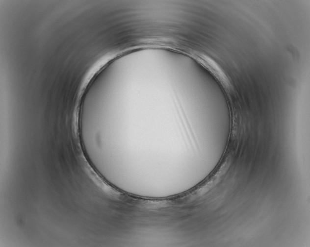 X0000112491196200908311425