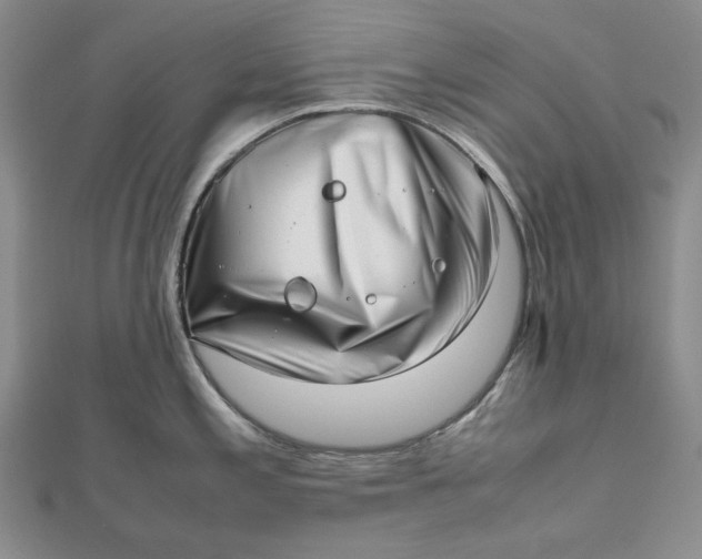 X0000112491197200908311425