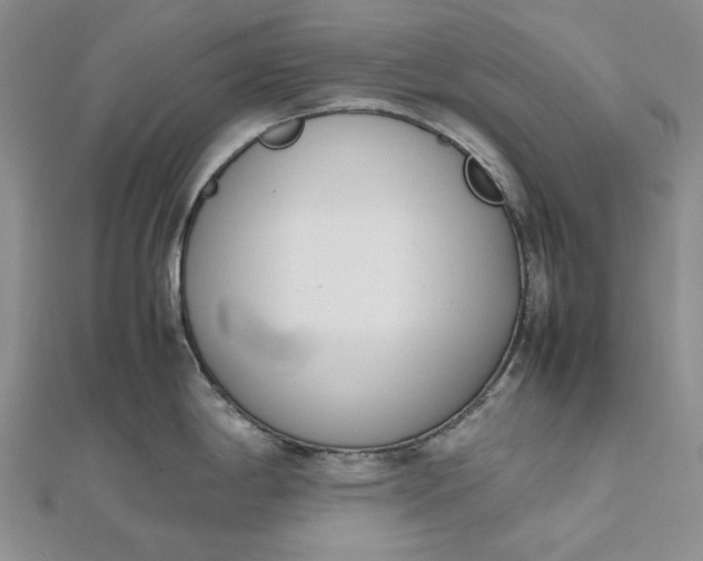 X0000112491198200908311425