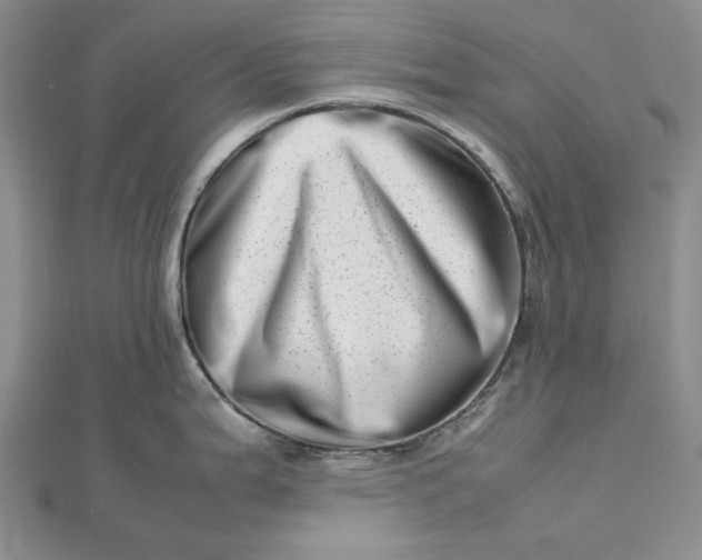 X0000112491199200908311425