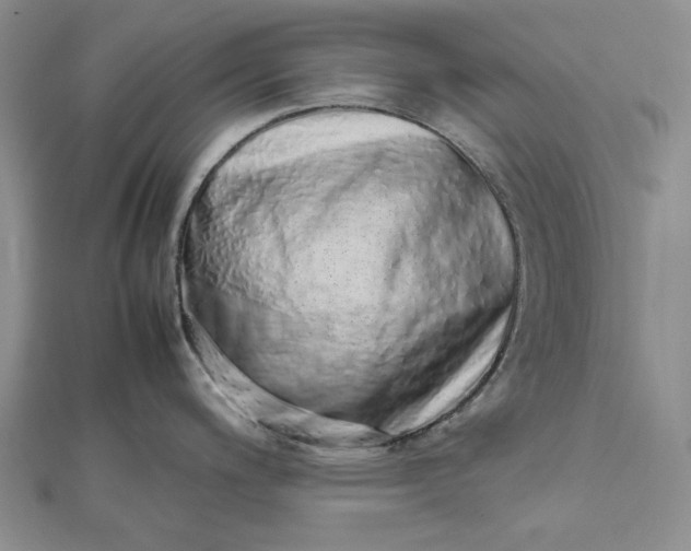 X0000112491200200908311425