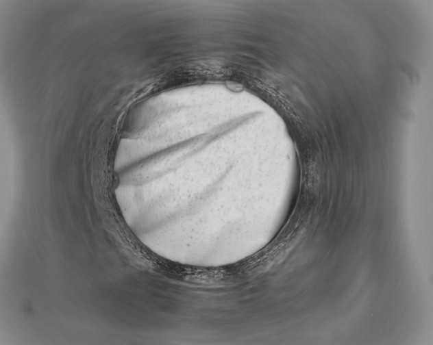 X0000112491201200908311425