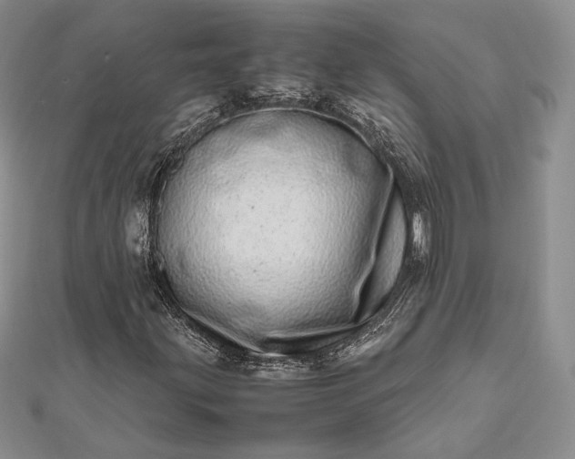 X0000112491203200908311425