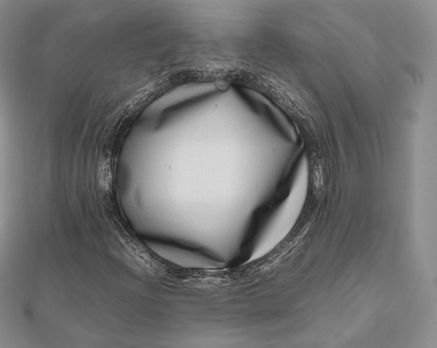 X0000112491204200908311425