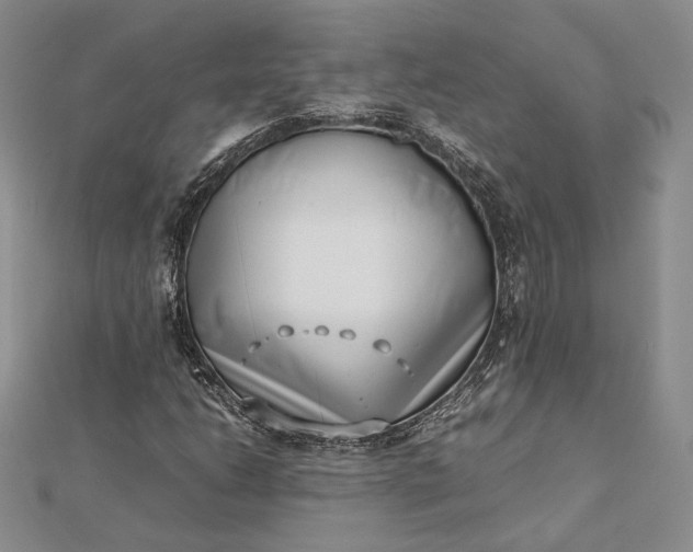 X0000112491206200908311425