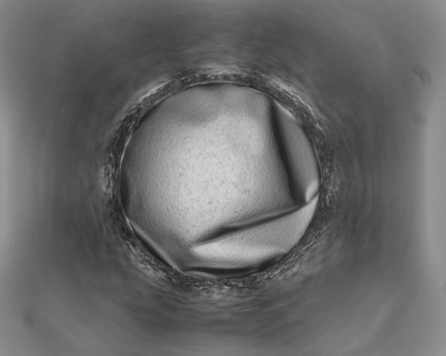 X0000112491207200908311425