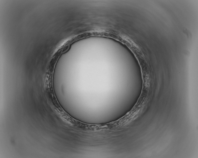 X0000112491208200908311425