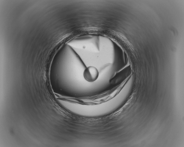 X0000112491209200908311425