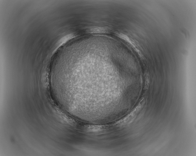 X0000112491211200908311425