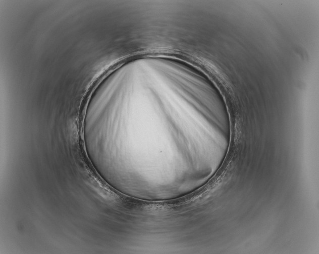 X0000112491212200908311425