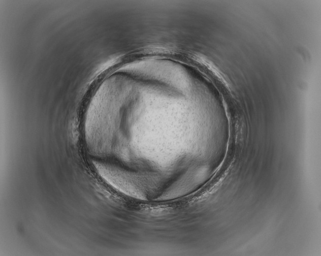 X0000112491213200908311425