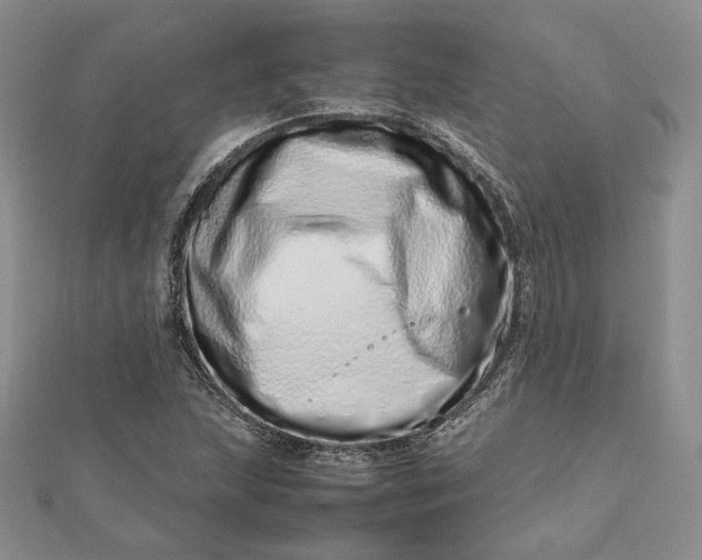 X0000112491215200908311425