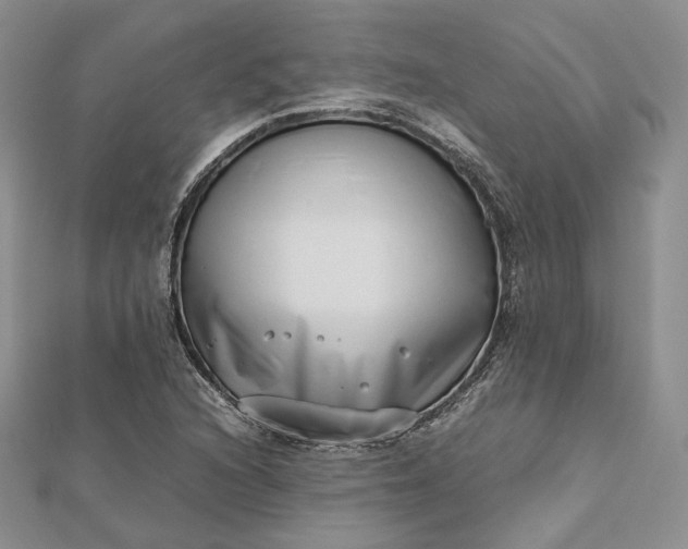 X0000112491216200908311425