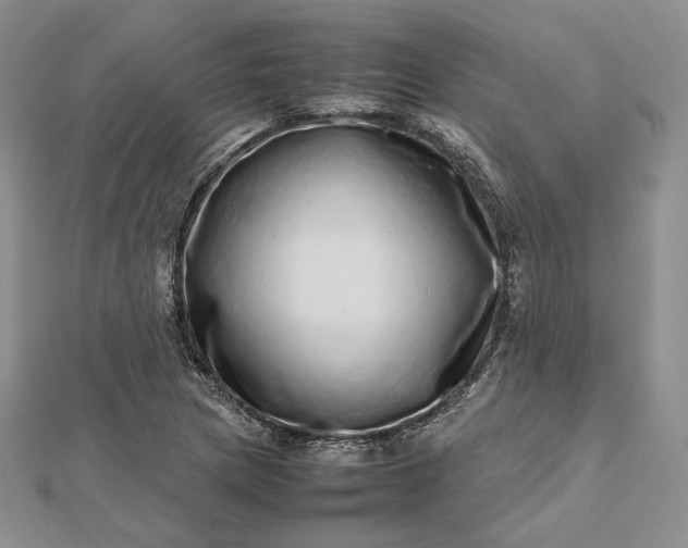 X0000112491217200908311425