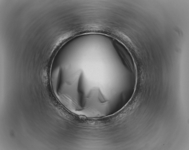 X0000112491218200908311425