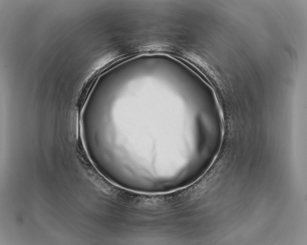 X0000112491219200908311425